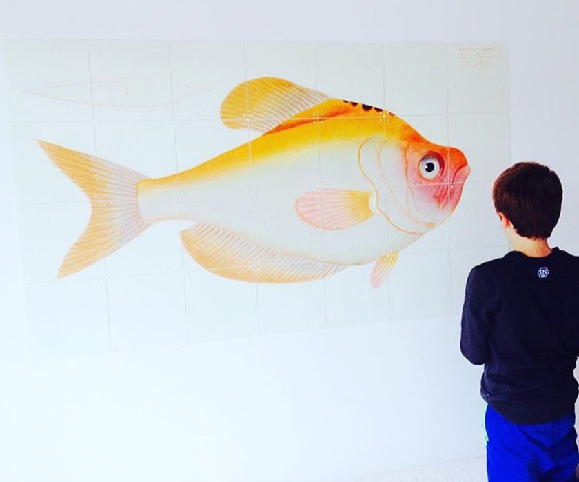 Superyacht Wall Decoration