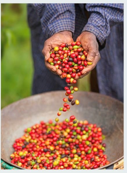 Eco Friendly Superyacht Coffee