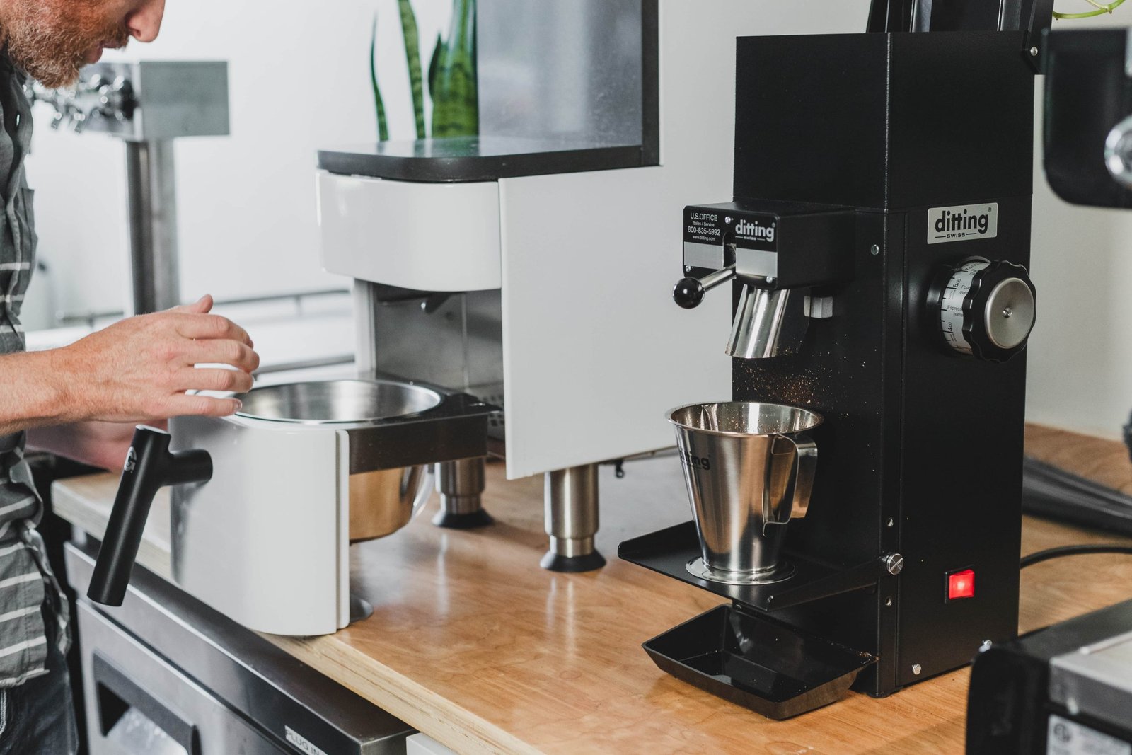 Prima Coffee: Ditting 1203 and 807 Commercial Coffee Grinders Now Available!