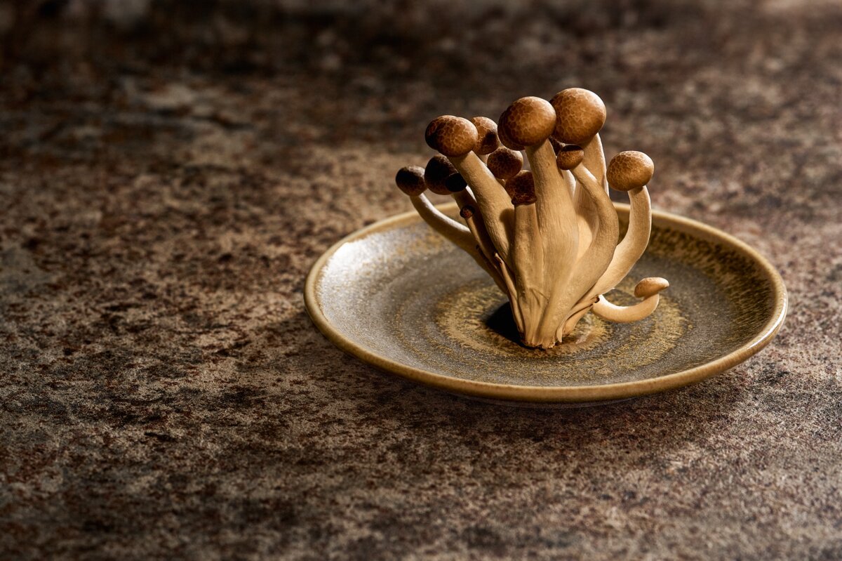 Eco-Friendly Dinnerware